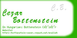cezar bottenstein business card